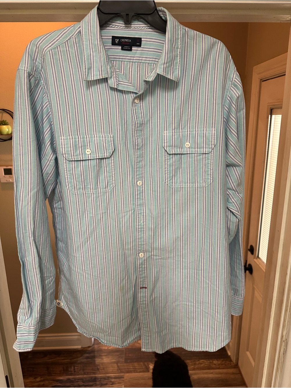 Daniel Cremieux Mint and White Striped Casual Button-Down Shirt
